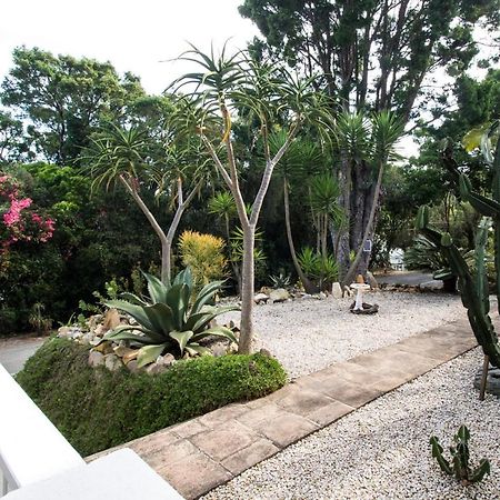 South Villa Guesthouse&Garden Найсне Экстерьер фото